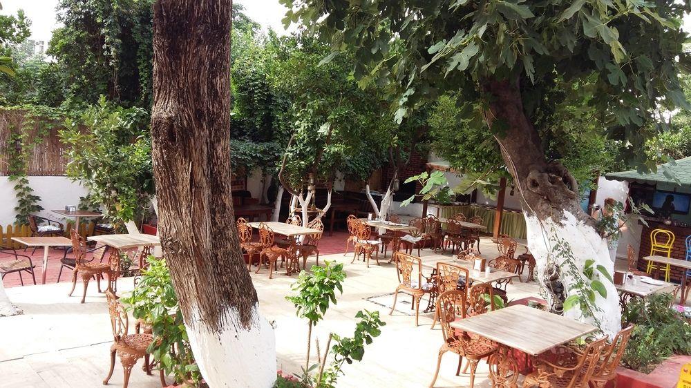 Kaliptus Hotel Kemer Exteriör bild