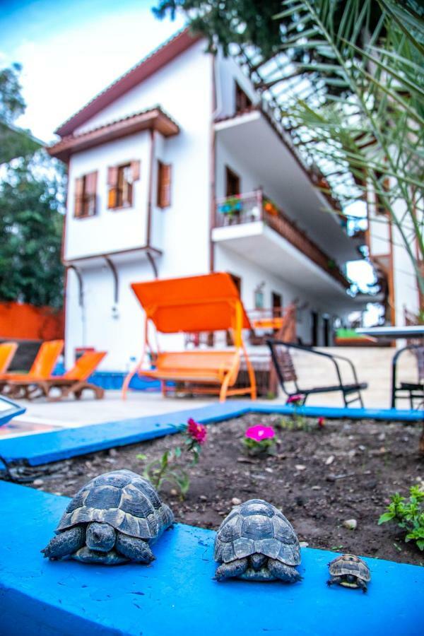 Kaliptus Hotel Kemer Exteriör bild